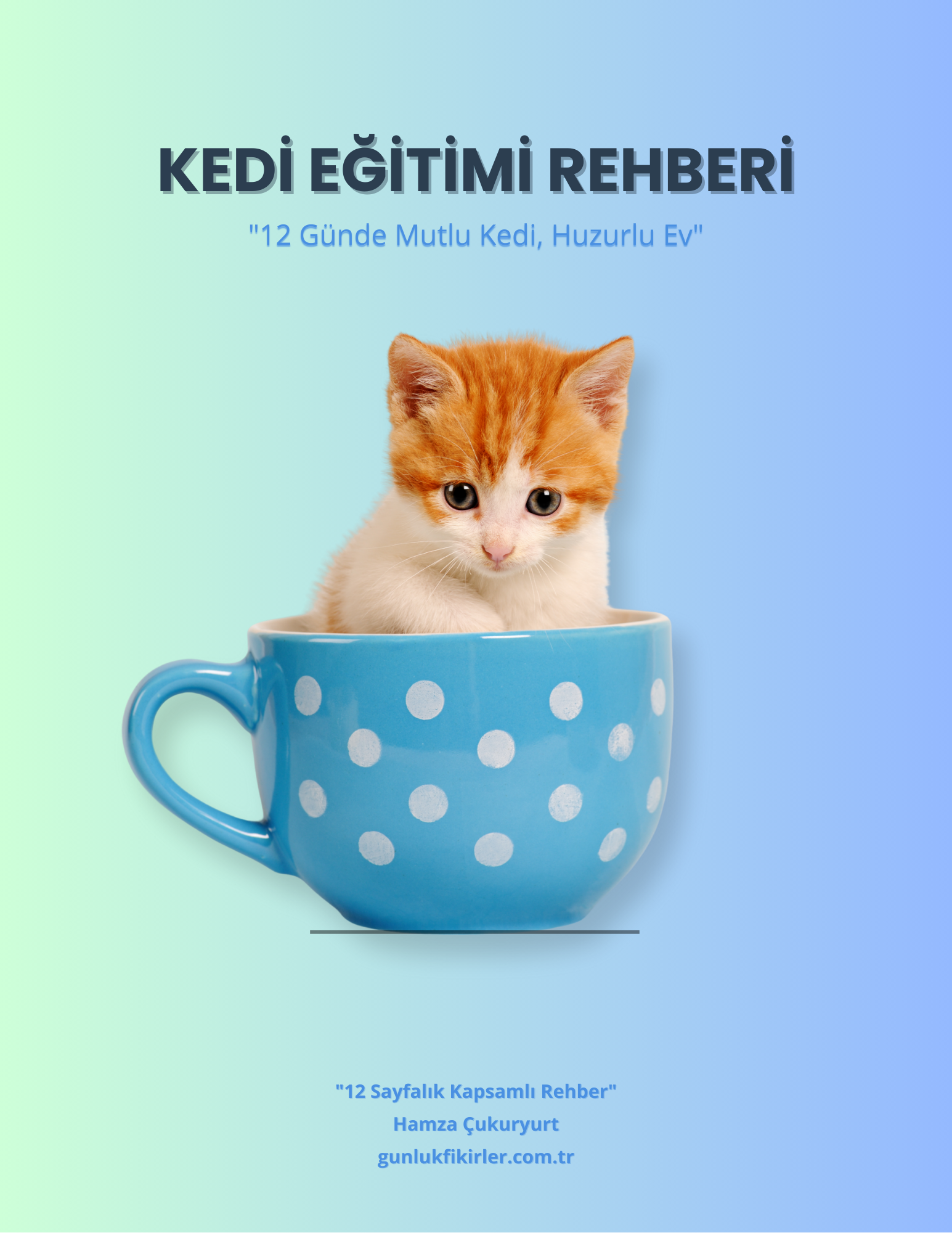 kedi egitimi
